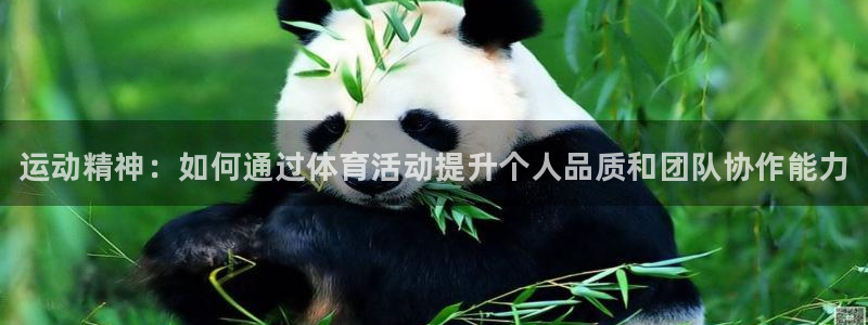 JJB竞技宝官网下载招商电话号码查询