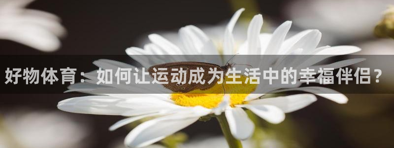 JJB竞技宝官网下载招商电话是多少：好物体育：如何让
