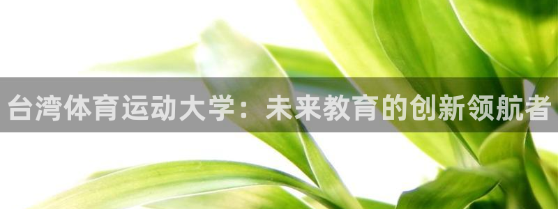 JJB竞技宝官网下载平台注册要钱吗安全吗：台湾体育运