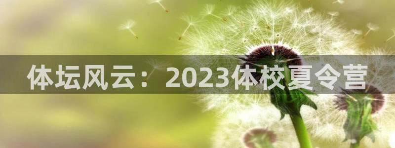 JJB竞技宝官方正版app集团：体坛风云：2023体
