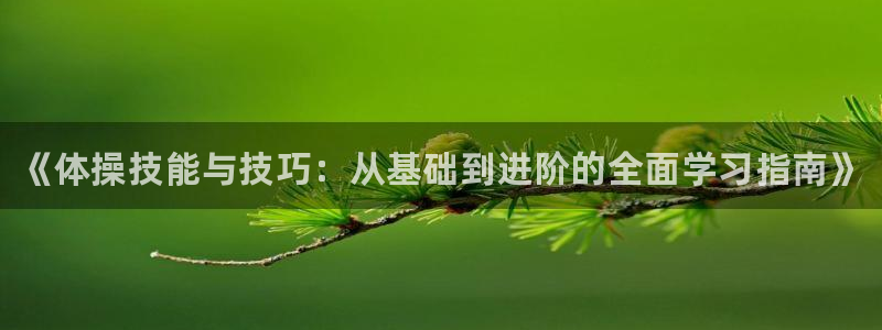 JJB竞技宝官网下载平台是正规平台吗知乎：《体操技能