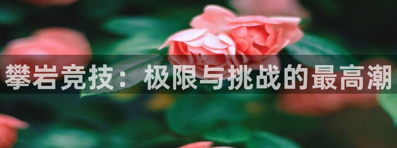 JJB竞技宝官网下载招商电话号码查询是多少：攀岩竞技