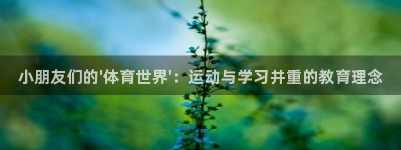 JJB竞技宝官网下载招商：小朋友们的\'体育世界\'