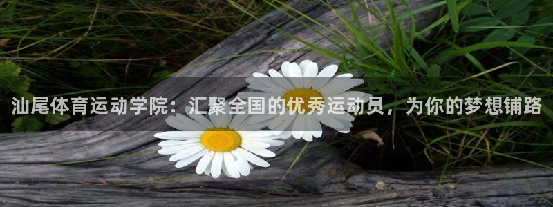 JJB竞技宝官网下载平台注册流程图：汕尾体育运动学院