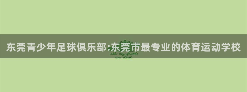 JJB竞技宝官方正版app官网：东莞青少年足球俱乐部