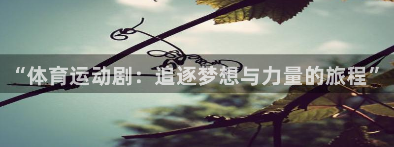 JJB竞技宝官网下载平台假的吗是真的吗：“体育运动剧