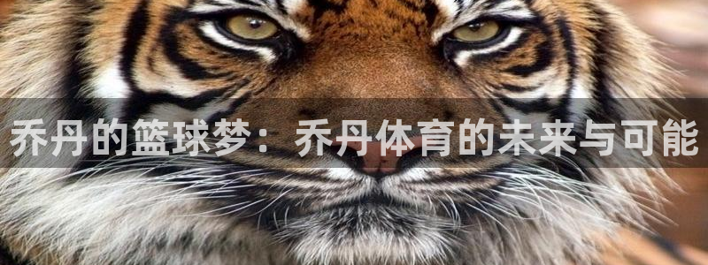 JJB竞技宝官方正版app集团logo：乔丹的篮球梦