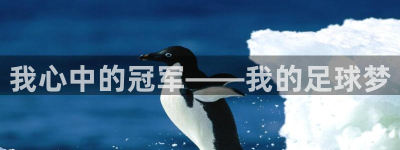 JJB竞技宝官网下载联系电话