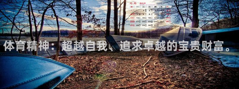 JJB竞技宝官网下载平台注册：体育精神：超越自我、追