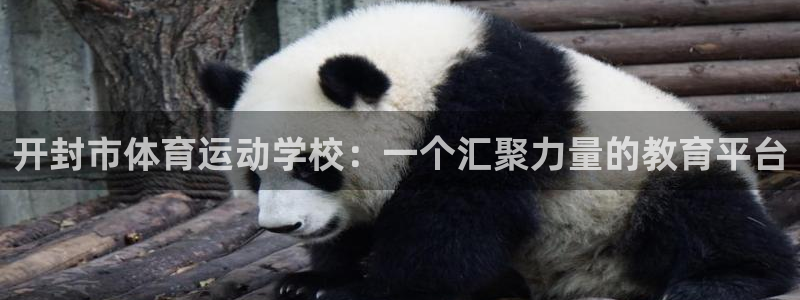 JJB竞技宝官网下载招商电话号码：开封市体育运动学校：一个汇