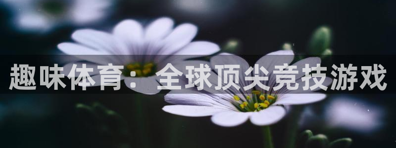 JJB竞技宝官网下载软件：趣味体育：全球顶尖竞技游戏