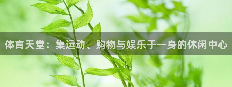 JJB竞技宝官网下载平台是正规平台吗：体育天堂：集运动、购物