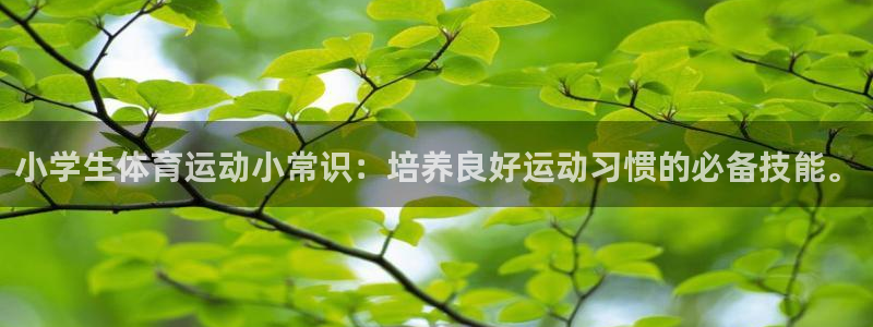 JJB竞技宝官方正版app五金厂：小学生体育运动小常识：培养