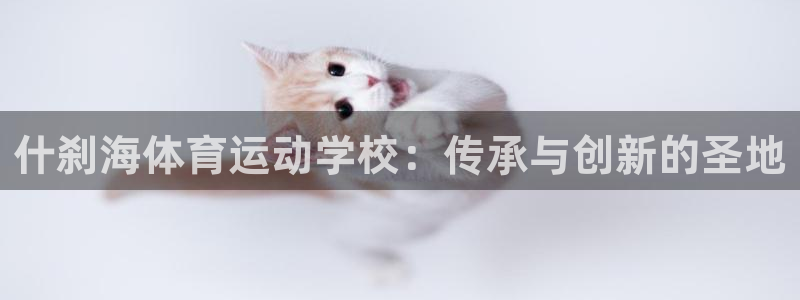 JJB竞技宝官方正版app集团官网首页网址：什刹海体育运动学