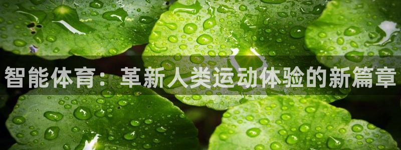 JJB竞技宝官方正版app集团官网网址：智能体育：革新人类运