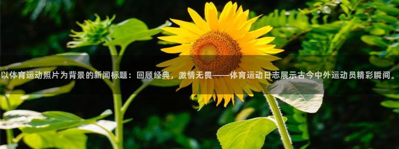 JJB竞技宝官网下载官方客服电话：以体育运动照片为背景的新闻