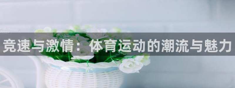 JJB竞技宝官网下载平台假的吗是真的吗吗：竞速与激情：体育运