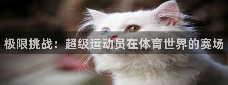 JJB竞技宝官网下载平台注册要钱吗是真的吗：极限挑战