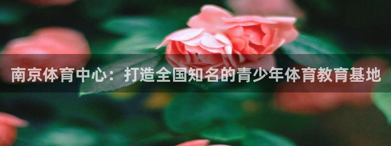 JJB竞技宝官网下载平台注册流程视频：南京体育中心：