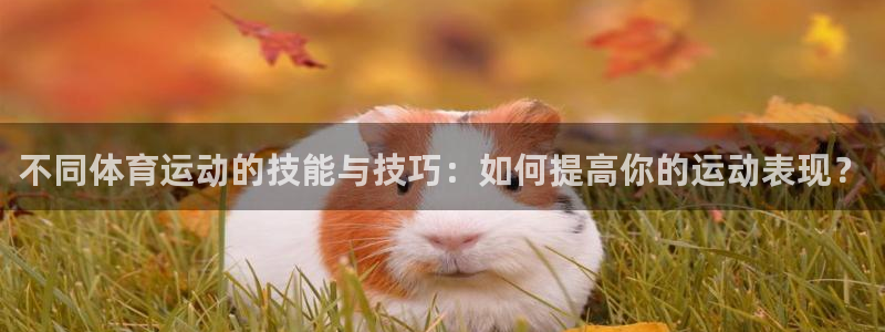 JJB竞技宝官网下载平台是正规平台吗知乎：不同体育运