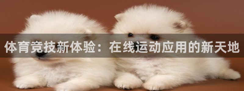 JJB竞技宝官方正版app集团logo：体育竞技新体验：在线