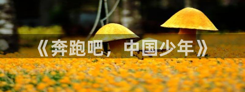 JJB竞技宝官方正版app集团官网首页网址：《奔跑吧，中国少